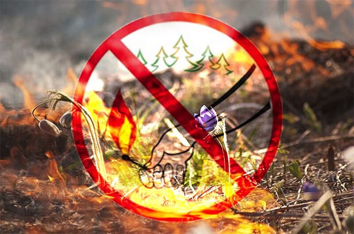 Выбирая способ