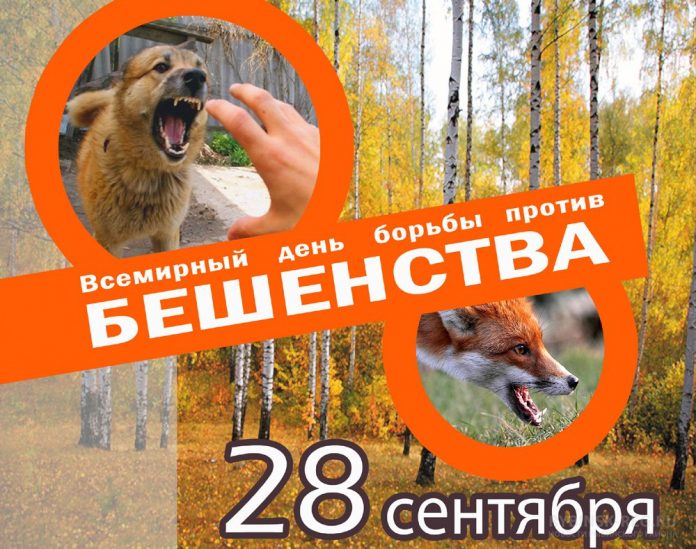 изображение_viber_2023-10-02_20-26-33-748